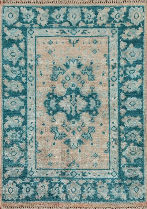 Handmade Oushak Vegetable Dye Accent Rug 2x3