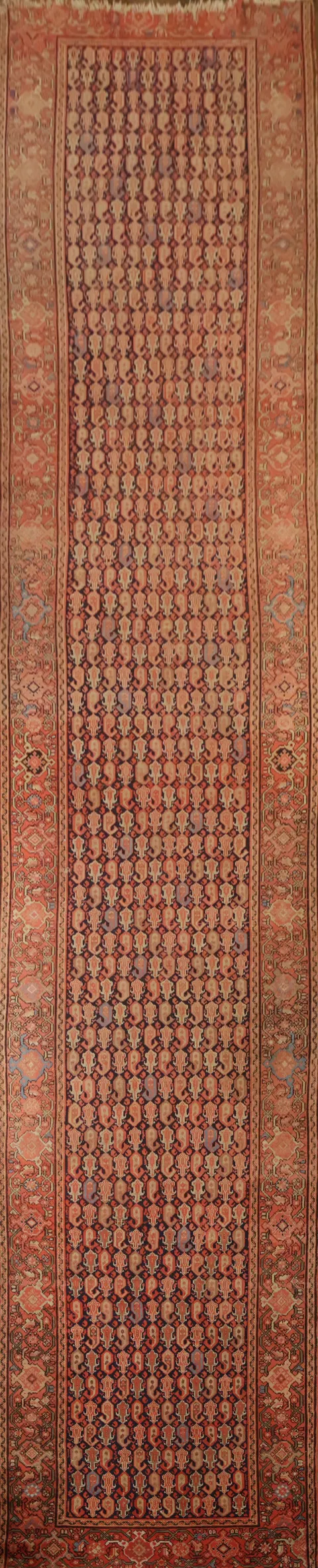 Vegetable Dye Pre-1900 Antique Malayer Persian Runner Rug 4x18