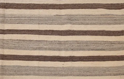 Striped Wool Kilim Oriental Rug 3x5