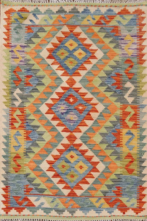 Multicolor Kilim Oriental Accent Rug 3x4