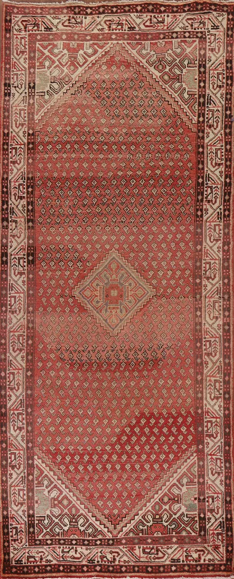 Botemir Persian Runner Rug 4x10
