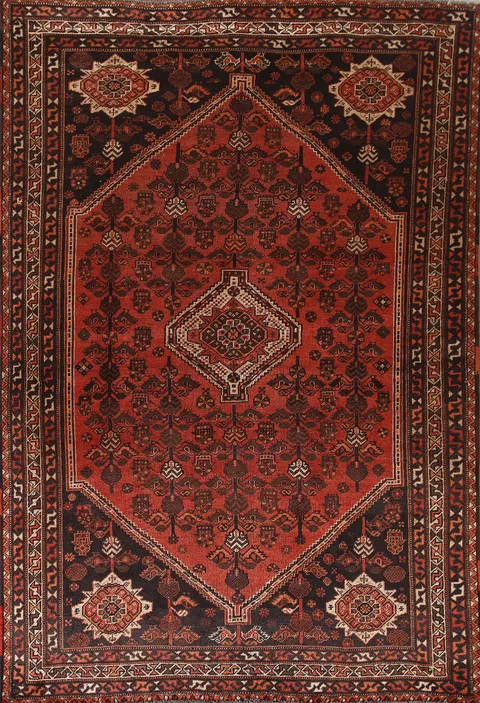 Vegetable Dye Shiraz Persian Area Rug 7x10