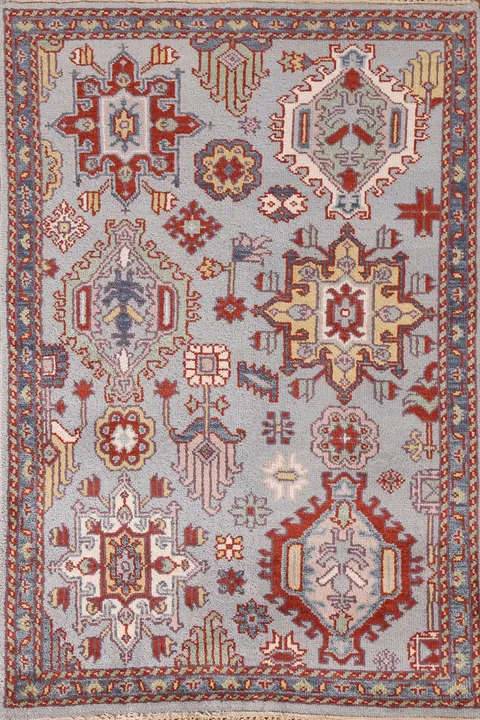 Geometric Heriz Serapi Oriental Rug 4x6