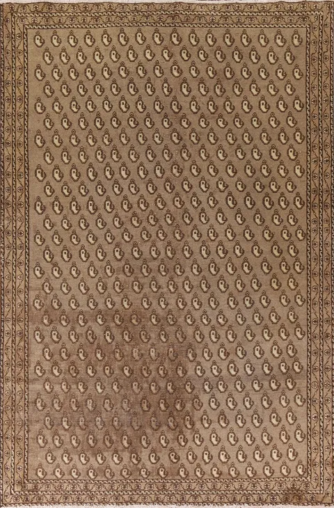 All-Over Brown Ferdos Persia Area Rug 6x10