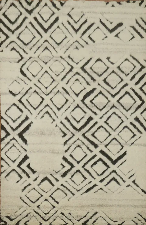 Trellis Moroccan Indian Area Rug 5x8