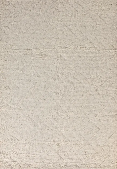Earth Tone Moroccan Oriental Area Rug 5x8