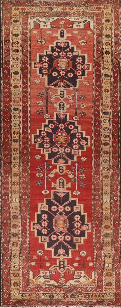 Vegetable Dye Meshkin Persian Runner Rug 3x11