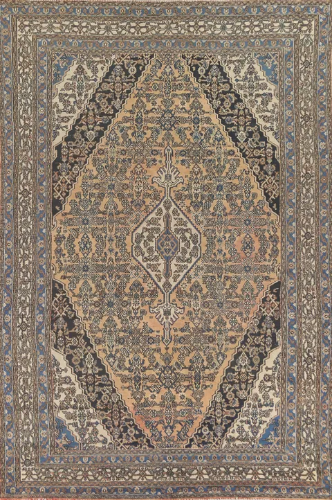 Geometric Hamedan Persian Area Rug 9x12