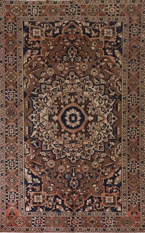 Brown Bakhtiari Persian Area Rug 7x10
