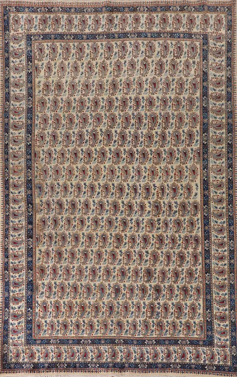 All-Over Paisley Mood Persian Area Rug 7x11