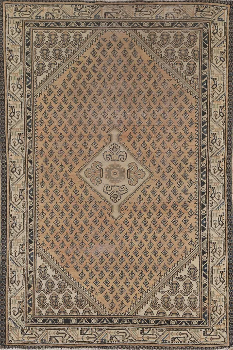 Geometric Botemir Persian Rug 4x7