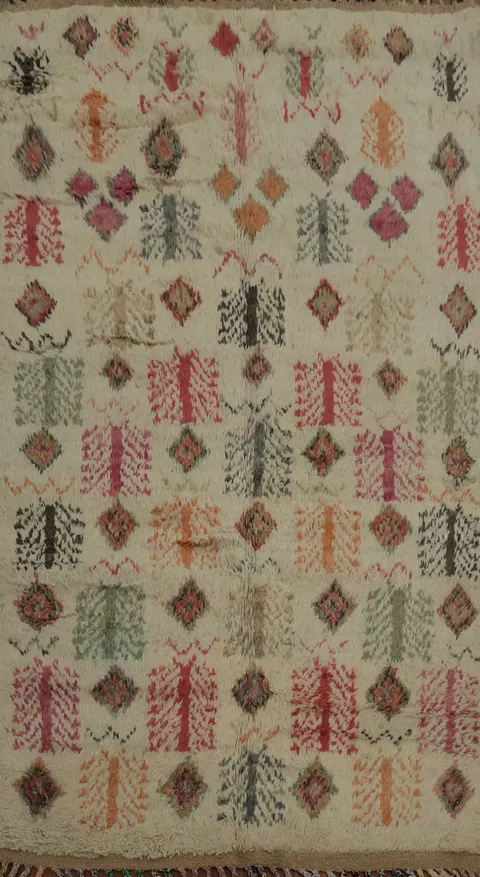 Eclectic Charm Artistic Geometric Moroccan Area Rug 5x9