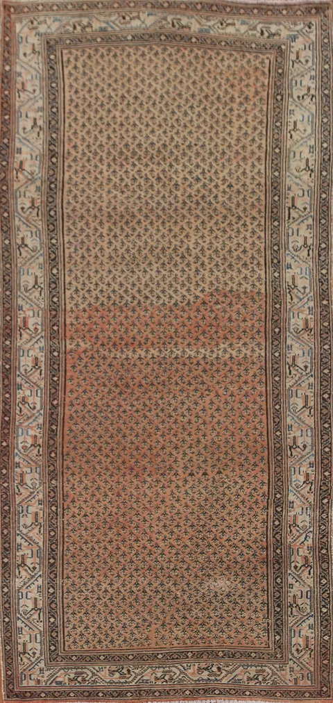 Distressed Wool Botemir Persian Area Rug 5x11