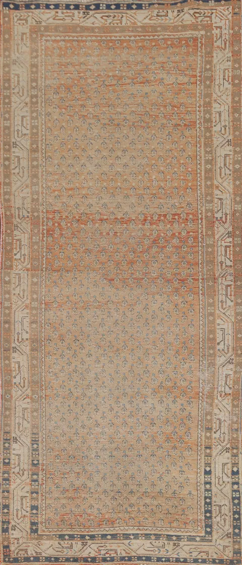 All-Over Botemir Persian Runner Rug 3x9
