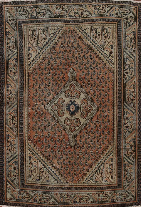 Geometric Wool Botemir Persian Rug 3x5
