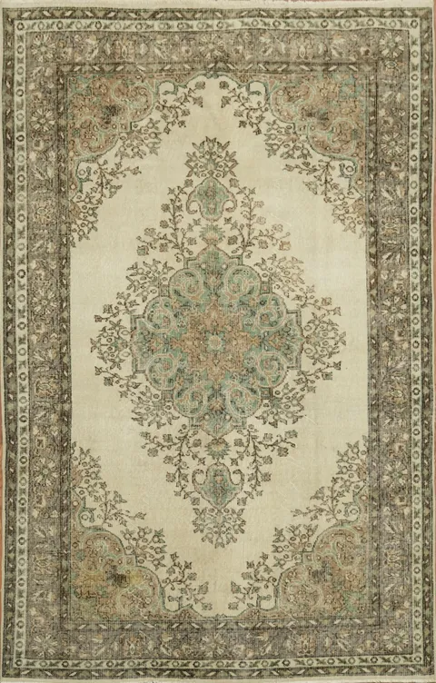 Vintage elegance: Classic Persian-style rug with ornate patterns 6x9