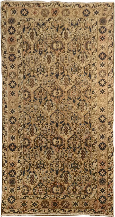 Garden Design Vintage Wool Bakhtiari Persian Area Rug 5x10