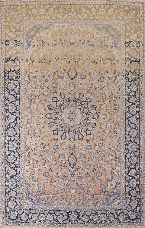 Traditional Wool Najafabad Persian Area Rug 8x12