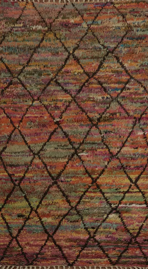 Trellis Wool Moroccan Oriental Accent Rug 4x7
