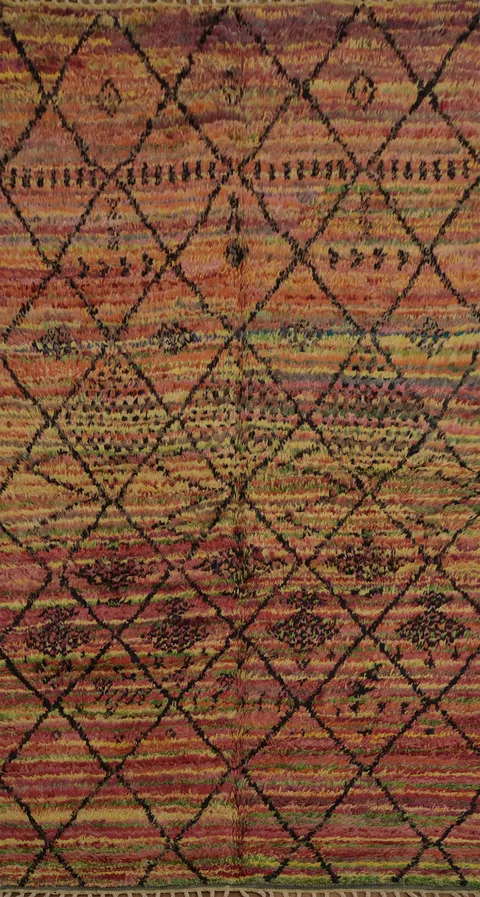Trellis Wool Moroccan Oriental Area Rug 5x9