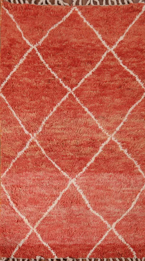Orange Plush Trellis Moroccan Accent Rug 3x6