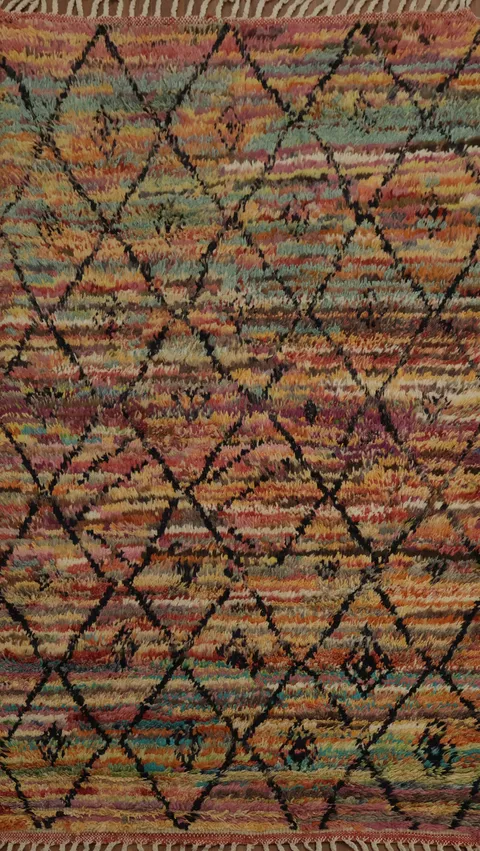 Trellis Plush Moroccan Oriental Rug 4x7