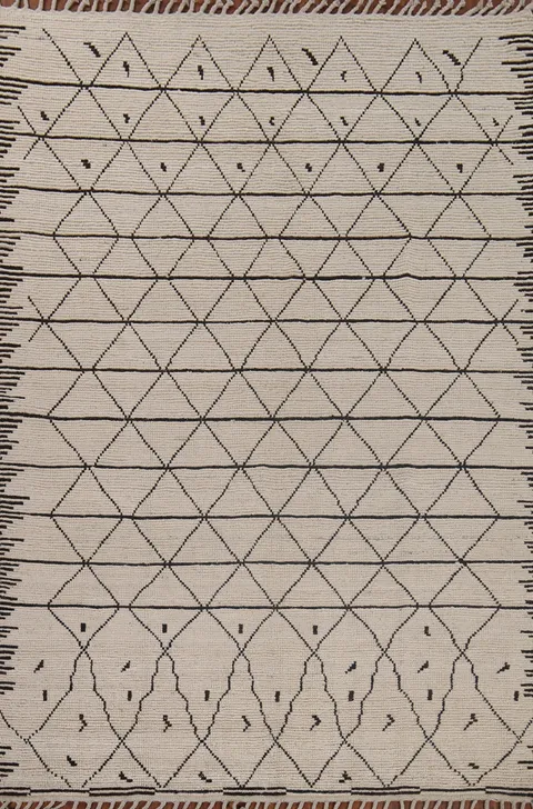 All-Over Trellis Moroccan Oriental Area Rug 7x10