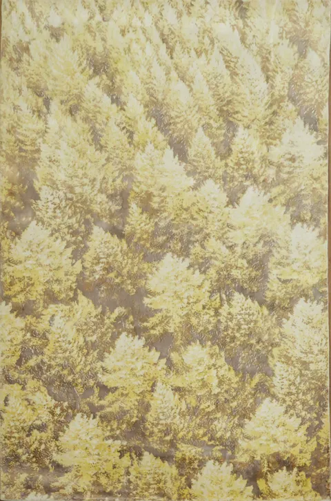 Hand-Knotted Wool Yellow Abstract Area Rug 6x9