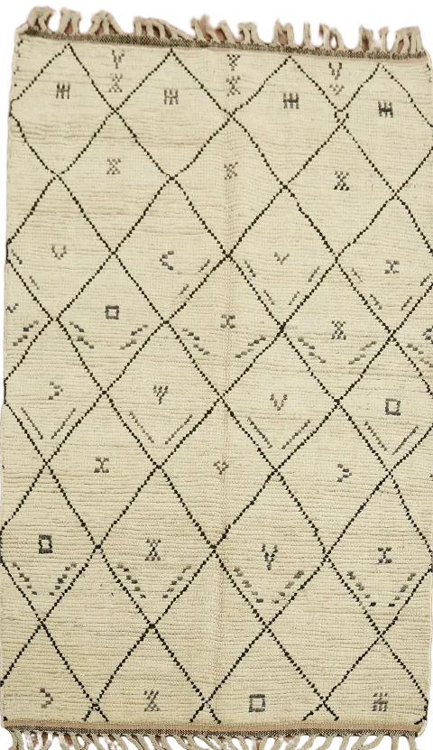 All-Over Trellis Moroccan Oriental Rug 4x7