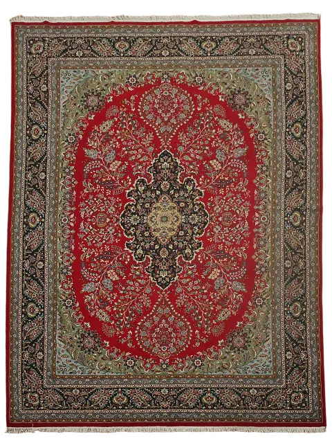 Exquisite Persian-Inspired Red and Black Traditional Rug 10x13 ft