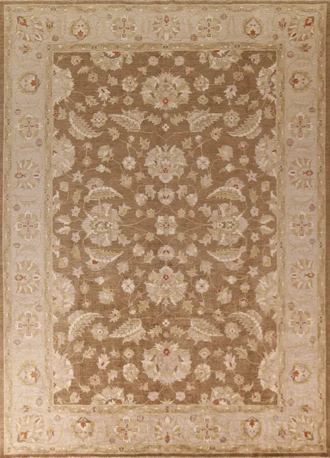 Vegetable Dye Brown Peshawar Oriental Area Rug 9x12