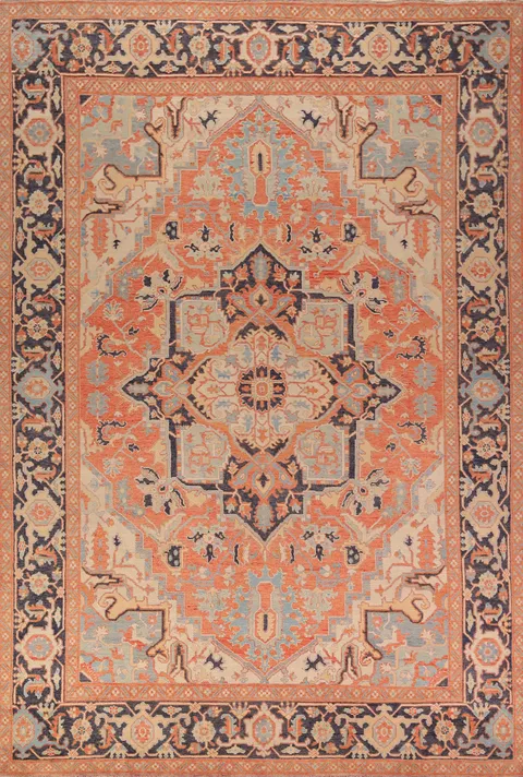 Vegetable Dye Heriz Oriental Area Rug 9x12