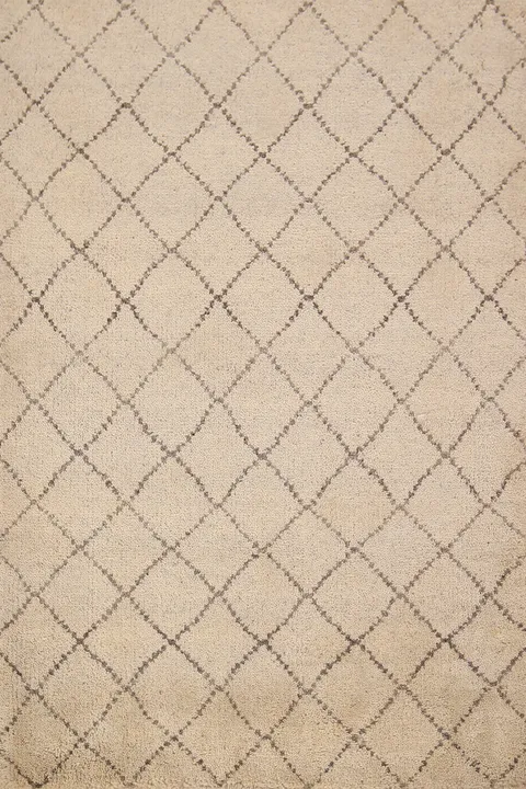 Trellis Wool Moroccan Oriental Rug 3x5