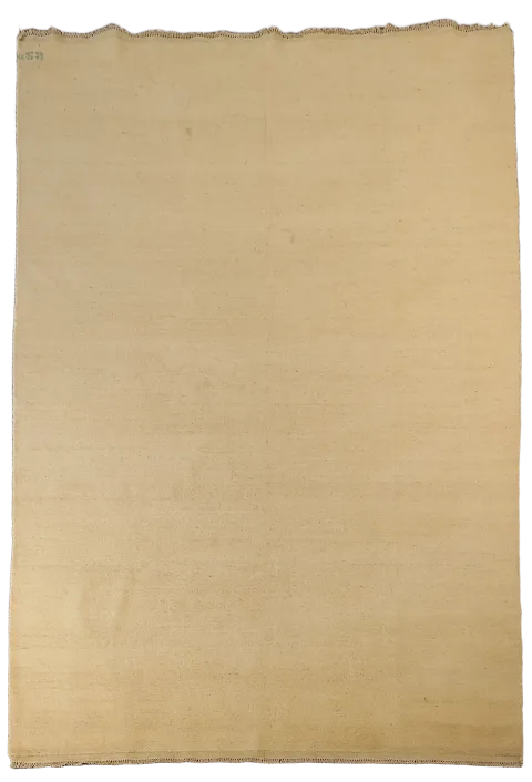 Contemporary Wool Gabbeh Oriental Area Rug 6x9
