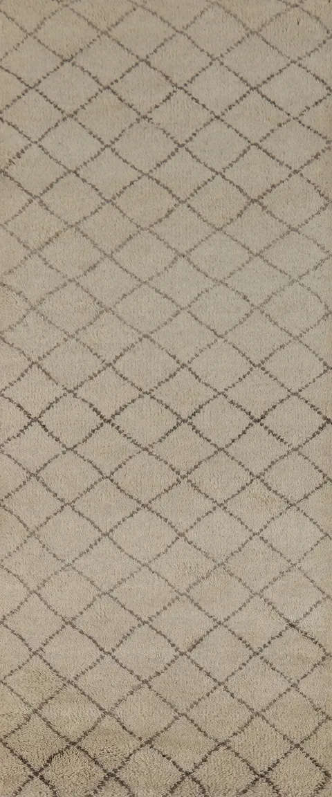 All-Over Trellis Moroccan Oriental Runner Rug 3x8