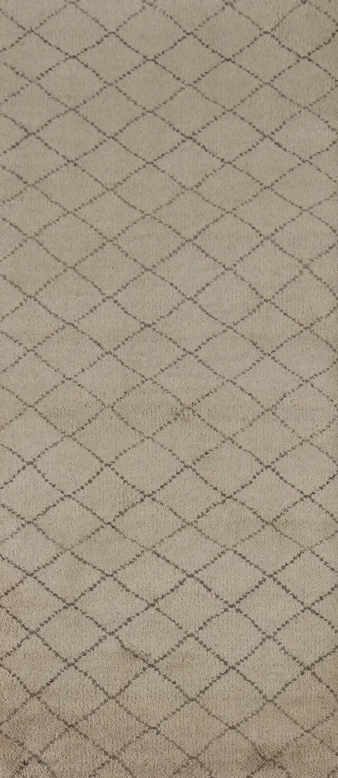 All-Over Trellis Moroccan Oriental Runner Rug 3x8