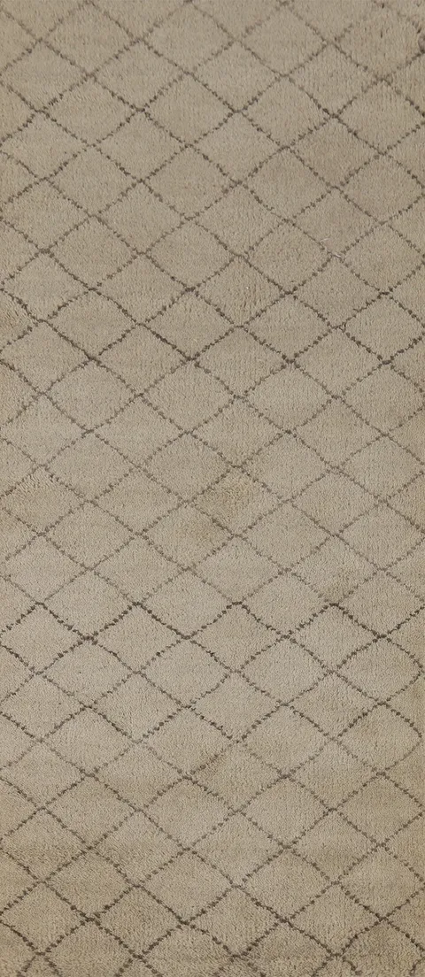 Trellis Geometric Moroccan Oriental Runner Rug 3x8