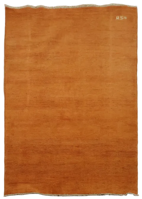 Soft Textured Orange Rug Ideal for Living Room Ambiance 4x6