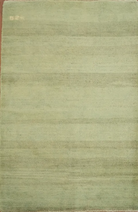 Light Green Striped Wool Gabbeh Oriental Accent Rug 3x4