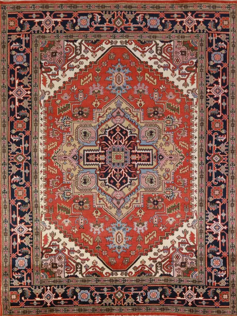 Geometric Heriz Serapi Indian Area Rug 8x10