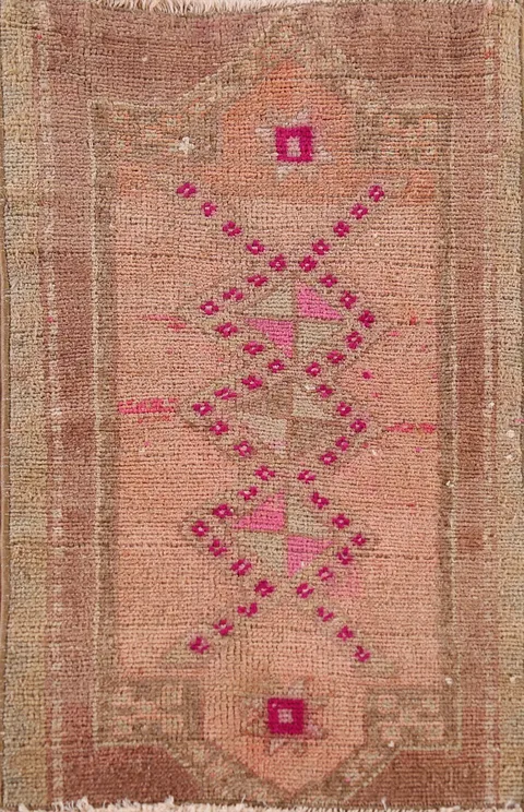 Antique Look Anatolian Oriental Foyer Rug 2x3