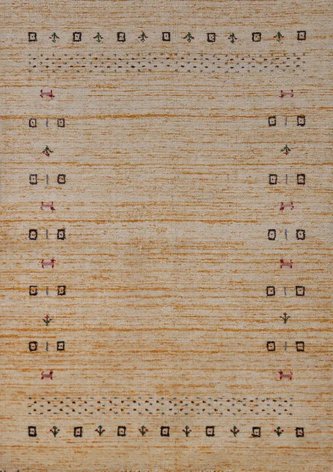 Handmade Wool Gabbeh Indian Rug 4x6