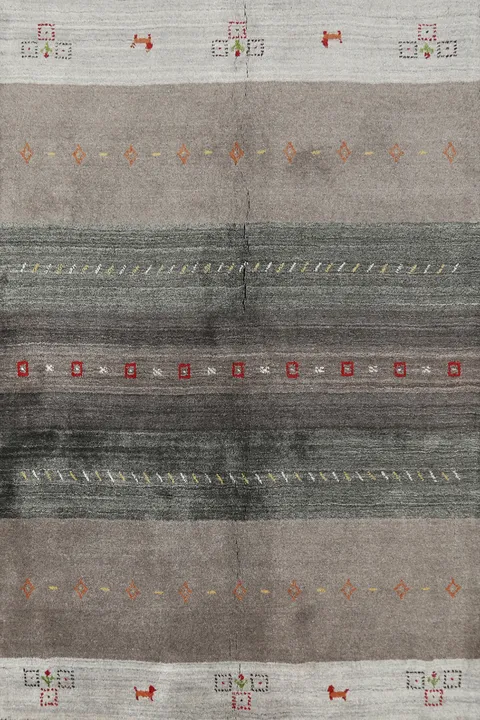 Handmade Wool Gabbeh Indian Rug 4x6