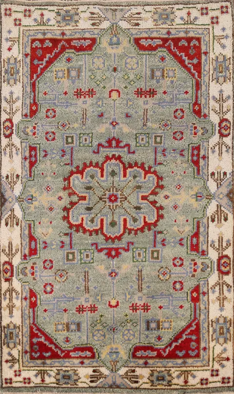 Geometric Heriz Serapi Indian Rug 3x5