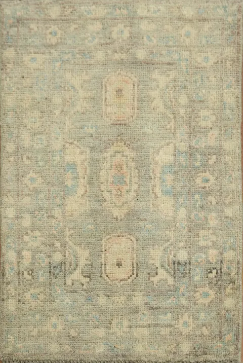 Vegetable Dye Oushak Turkish Accent Rug 2x3