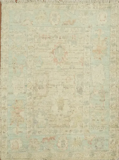 Vegetable Dye Oushak Turkish Accent Rug 2x3