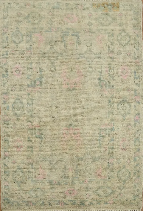 Vegetable Dye Oushak Turkish Accent Rug 2x3