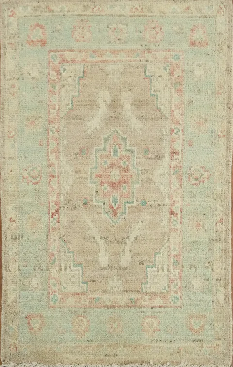 Vegetable Dye Oushak Turkish Accent Rug 2x3