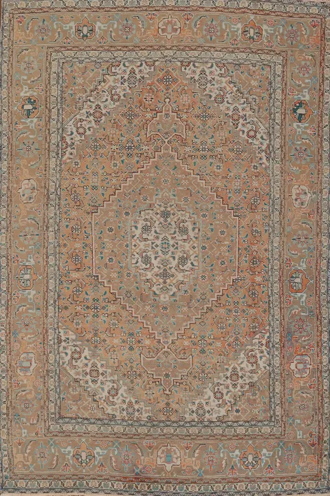 Orange Wool Tabriz Persian Area Rug 6x9