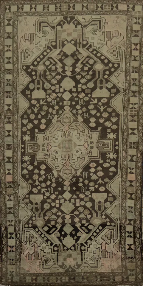 Brown Hamedan Persian Area Rug 5x10 with Intricate Detailing